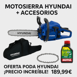 Oferta limite-Motosierra Hyundai para poda + accesorios -HYC2510