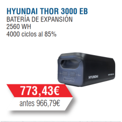 Batería de Expansión Hyundai HY-THOR3000EB