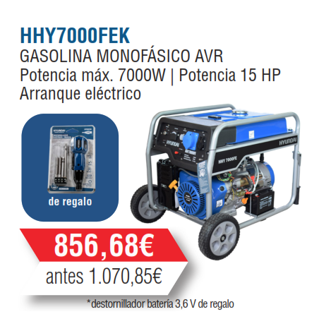 Generador Gasolina Monofásico Hyundai Serie Home-HY7000FEK
