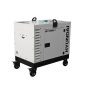 Generador Diésel Bicilíndrico Hyundai DHY14000SE-T Insonorizado 13,8 kVA Trifásico/Monofásico