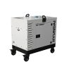 Generador Diésel Bicilíndrico Hyundai DHY14000SE-T Insonorizado 13,8 kVA Trifásico/Monofásico