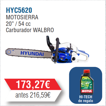 Recambios Motosierra Hyundai Pro